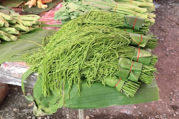 Acacia pennata no mercado — Fotografia de Stock