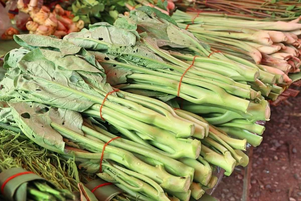 Färsk grönkål på marknaden — Stockfoto