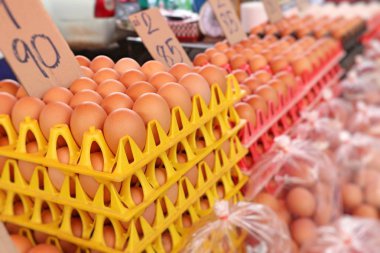 Tavuk yumurta içinde belgili tanımlık çarşı