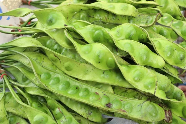 Frijol amargo en el mercado — Foto de Stock