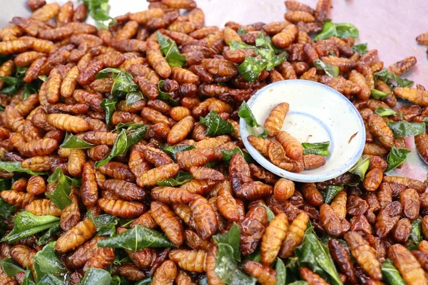 Insecto frito en la comida callejera — Foto de Stock