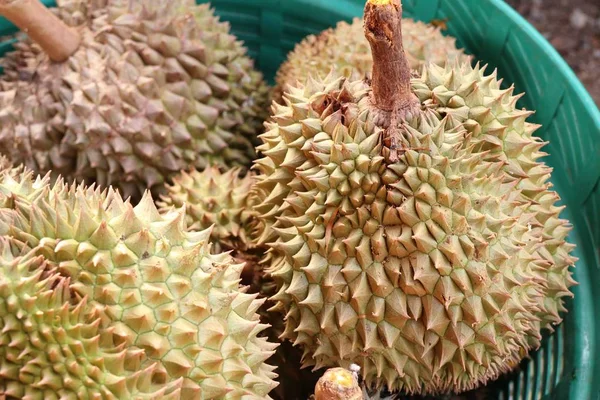 Fruta durian en la comida de la calle — Foto de Stock