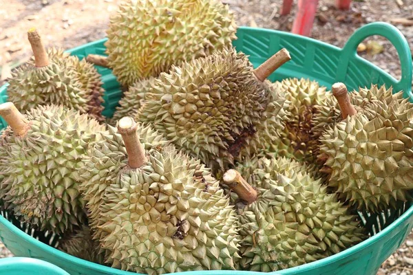 Fruta durian en la comida de la calle — Foto de Stock