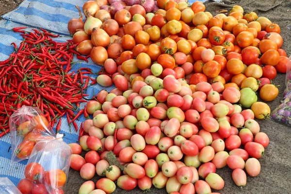 Markette taze domates — Stok fotoğraf