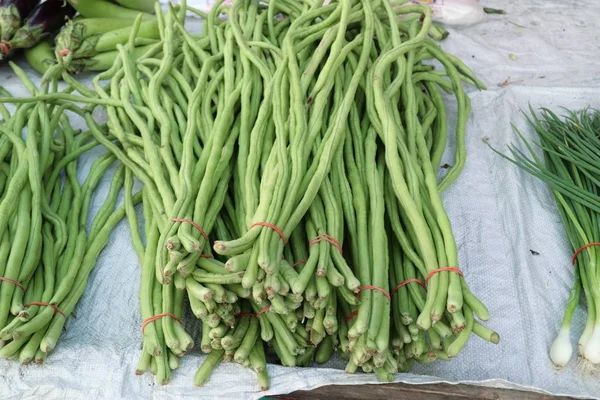 Haricots longs au marché — Photo