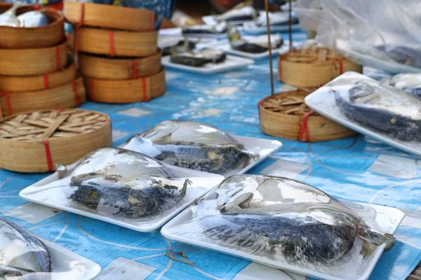 Fresh mackerel at the market — Stock Photo, Image