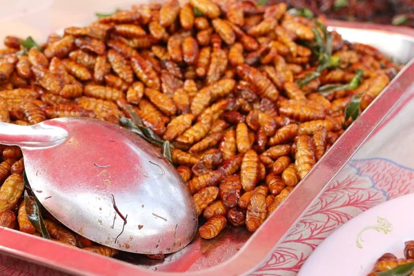 Insecto frito en la comida callejera —  Fotos de Stock