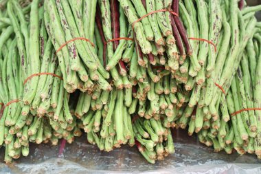 Pazarda taze uzun fasulye 