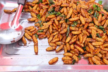 Fried böcek sokak gıda