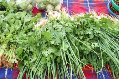taze soğan ve kişniş Market