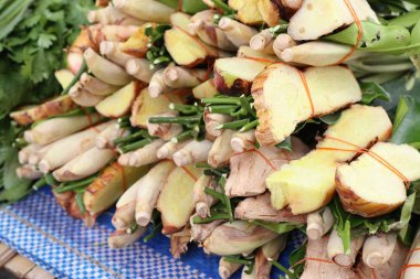 Limon otu ve havlıcan piyasada