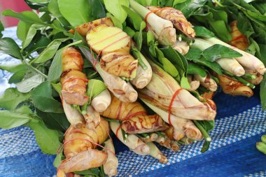 Limon otu ve havlıcan piyasada