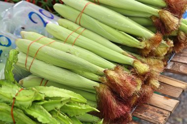 Markette taze Mısır