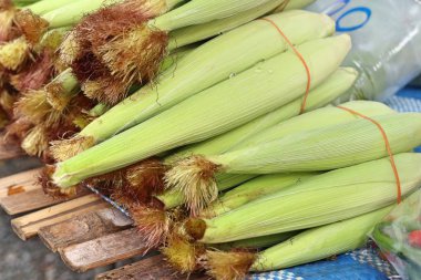 Markette taze Mısır