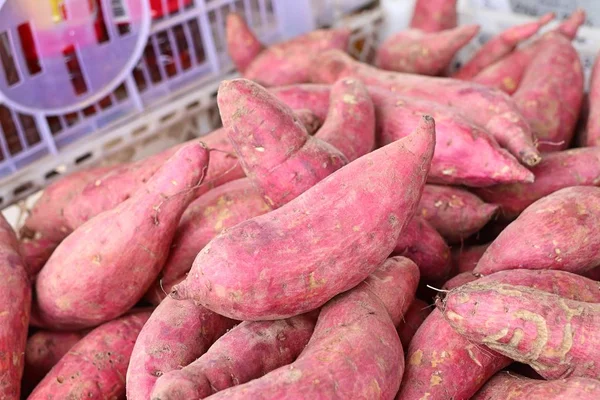 Patate douce à la nourriture de rue — Photo