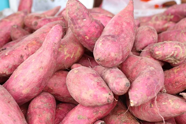 Zoete aardappel op straat eten — Stockfoto