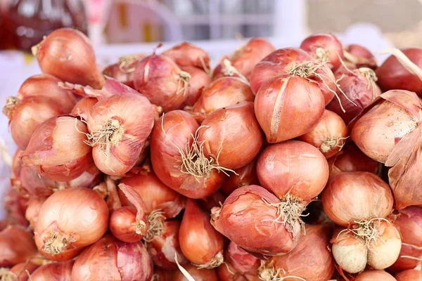 Röd schalottenlök på marknaden — Stockfoto