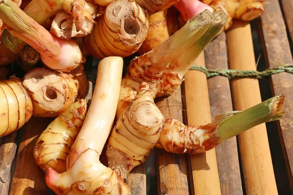 Galangal op straat eten — Stockfoto