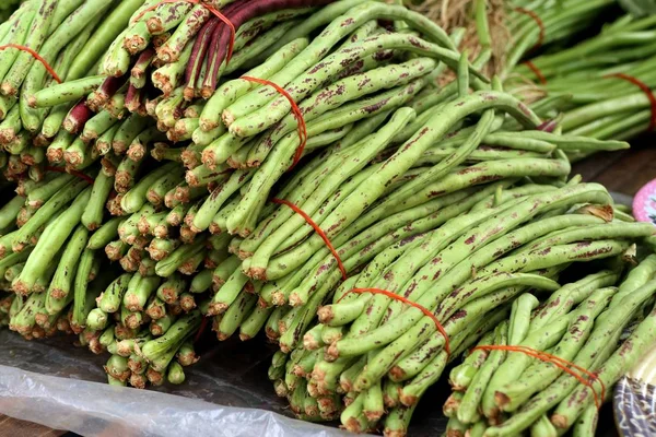 Haricots longs frais au marché — Photo