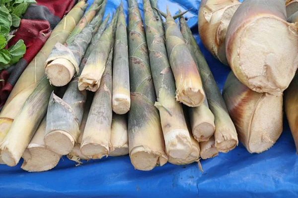 Tiro de bambu no mercado — Fotografia de Stock