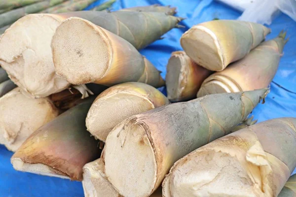 Bambusový střílej na trhu — Stock fotografie