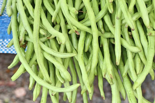 Fresh long beans at market — Stock Photo, Image