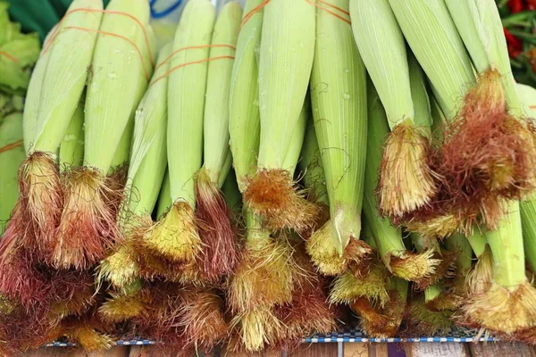 Frischer Mais auf dem Markt — Stockfoto