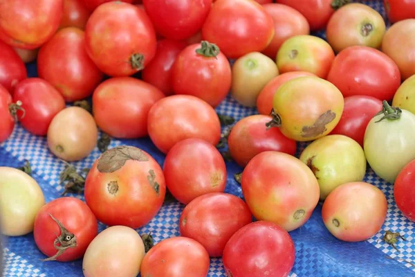 在市场上的新鲜番茄 — 图库照片