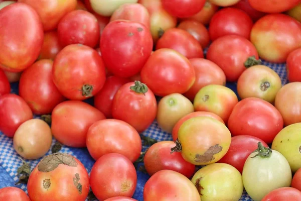 Verse tomaten op de markt — Stockfoto