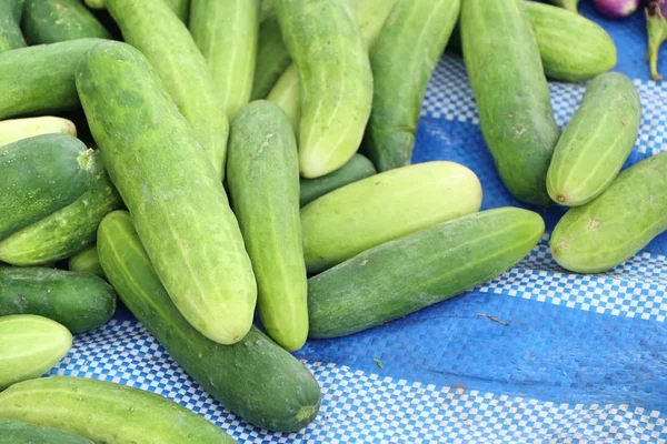 Fresh cucumber at street food — Stock Photo, Image