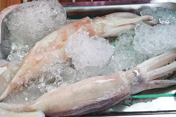 Calamari freschi sul mercato — Foto Stock