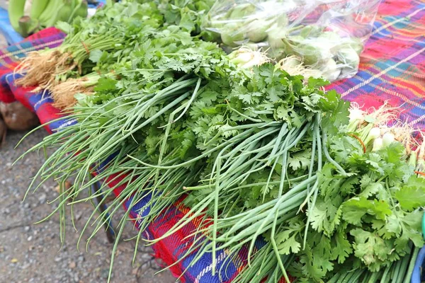 Oignon de printemps et coriandre au marché Images De Stock Libres De Droits