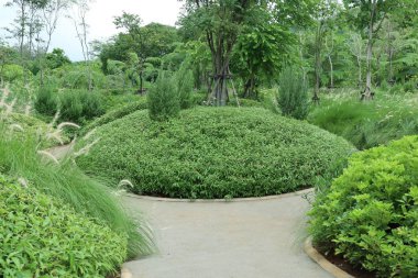 Bahçedeki taş geçit.