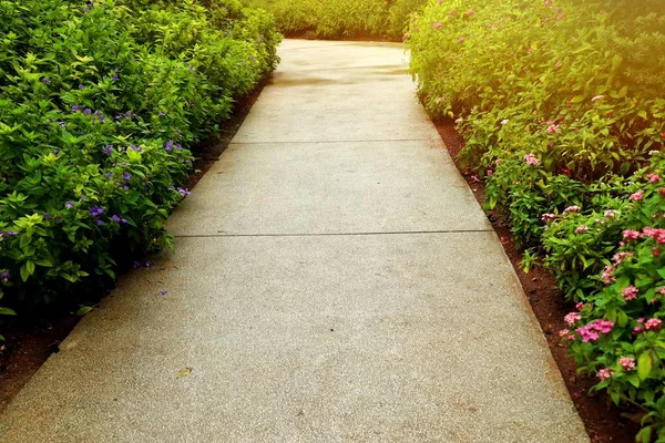 Кам'яна доріжка в саду — стокове фото