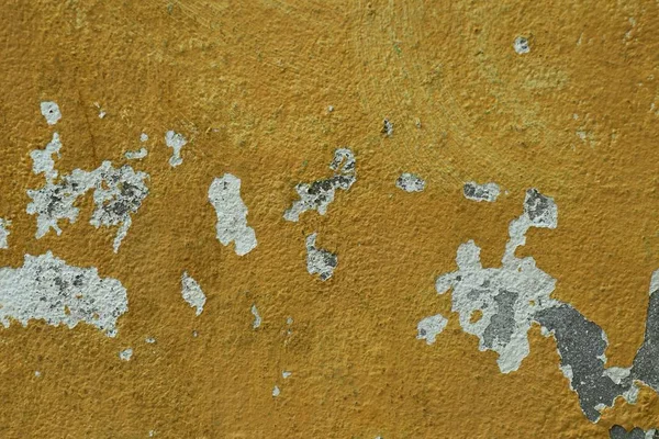 Vintage wallpaper peeling paint — Stock Photo, Image