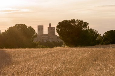 Arevalo, Avila, Castilla Leon, İspanya ve Avrupa 'nın ilk dönemlerinde mısır gevreği tarlasıyla tepeden görüntüler