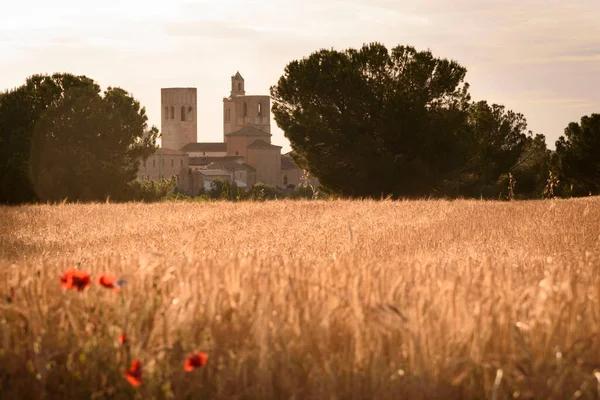 Views Hill Cereal Field First Term Arevalo Avila Castilla Leon — Stock Photo, Image