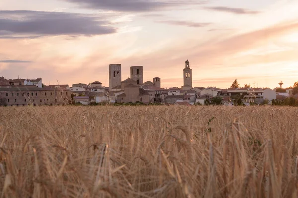 Pohled Kopce Obilným Polem Prvním Semestru Arevalo Avila Castilla Leon — Stock fotografie