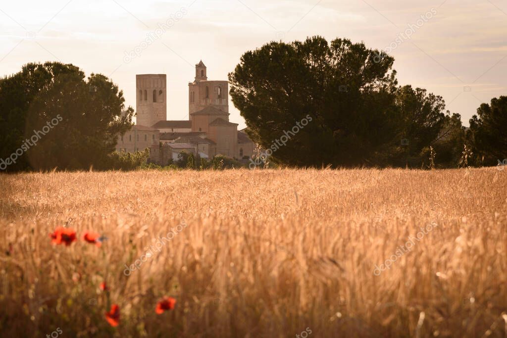 Views from the hill with a cereal field in the first term of Arevalo, Avila, Castilla Leon, Spain, Europe