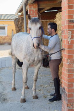 Biniciliğe hazırlanmak için bir fırçayla atı temizleyen kişi