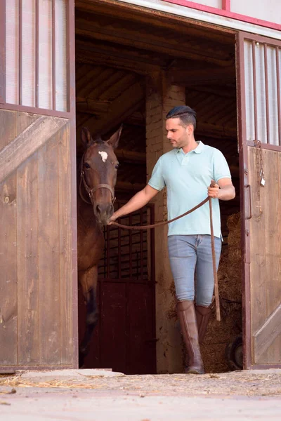 Pessoa Tirando Cavalo Bloco Rédea Para Limpá Vesti Para Montá — Fotografia de Stock