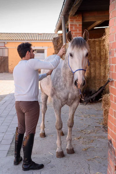 Person Cleaning Horse Brush Prepare Riding — Stock Photo, Image