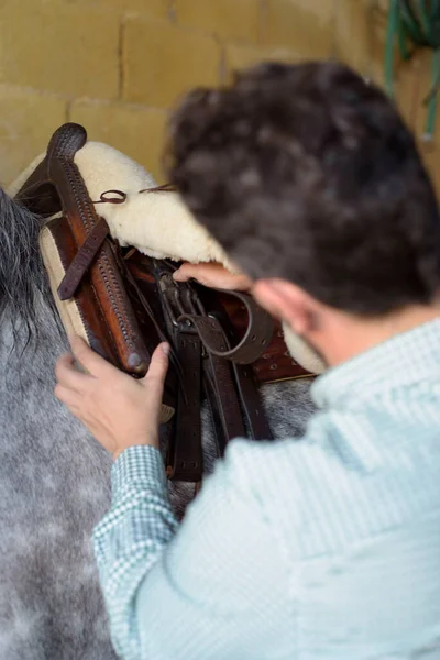 Person Adjusting Saddle Strap Horse Riding Work — Stock Photo, Image