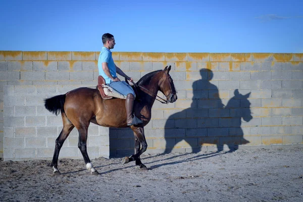 Cavaleiro Montando Cavalo Com Uma Grande Sombra Seu Lado Passeios — Fotografia de Stock