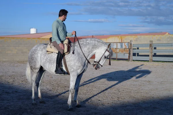 Cavaleiro Montando Cavalo Com Uma Grande Sombra Seu Lado Passeios — Fotografia de Stock