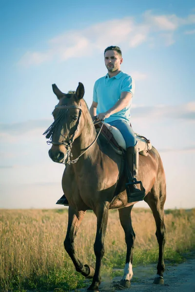 Ruiter Zijn Paard Het Veld Omringd Door Ontbijtgranen Paardrijden Oefenen — Stockfoto