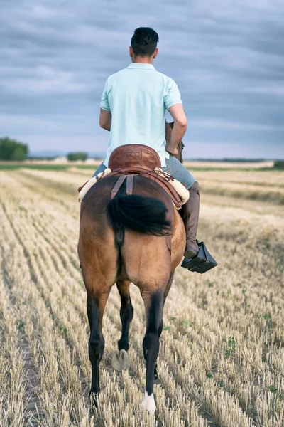 Horseback Rider Walking Seen Back Field Straw Stubble Horse Riding — Stock Photo, Image