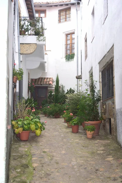 狭窄的街道典型的坎德拉里奥 萨拉曼卡 卡斯蒂利亚里昂 西班牙 传统城镇 — 图库照片