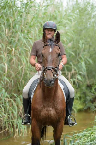 Man riding a horse in the river with green vegetation environment. Horse riding in the open air.