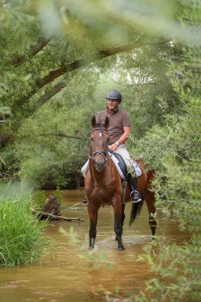 Man riding a horse in the river with green vegetation environment. Horse riding in the open air.